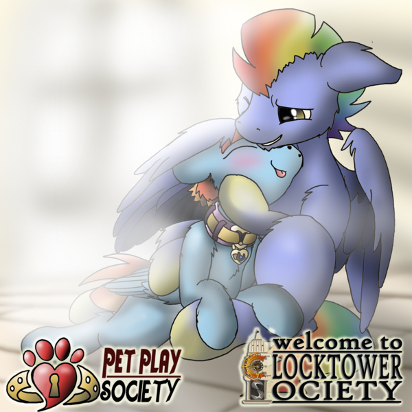 Size: 1000x1000 | Tagged: suggestive, artist:manifest harmony, derpibooru import, bow hothoof, windy whistles, pegasus, pony, fanfic:clocktower society, bdsm, behaving like a cat, collar, cuddling, cute, hug, married, married couple, pet play, petting, pregnant, rainbow dash's parents, romance, romantic, sex slave, shipping, slave, windyhoof, wing hold, winghug