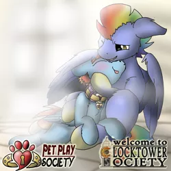 Size: 1000x1000 | Tagged: suggestive, artist:manifest harmony, derpibooru import, bow hothoof, windy whistles, pegasus, pony, fanfic:clocktower society, bdsm, behaving like a cat, collar, cuddling, cute, hug, married, married couple, pet play, petting, pregnant, rainbow dash's parents, romance, romantic, sex slave, shipping, slave, windyhoof, wing hold, winghug