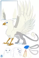 Size: 663x1000 | Tagged: safe, artist:jitterladybug, derpibooru import, oc, oc:der, unofficial characters only, gryphon, reference sheet, simple background, solo, white background