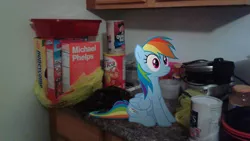 Size: 2560x1440 | Tagged: safe, artist:mrlolcats17, artist:tmntmlp4ever2000, derpibooru import, rainbow dash, pony, cereal, food, irl, kitchen, michael phelps, photo, ponies in real life, sitting, solo