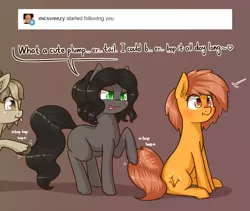 Size: 1537x1297 | Tagged: suggestive, artist:dsp2003, derpibooru import, oc, oc:meadow stargazer, oc:nikita, oc:stone, unofficial characters only, earth pony, pony, behaving like a cat, blushing, comic, female, innuendo, open mouth, scrunchy face, single panel, tumblr