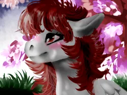 Size: 1600x1200 | Tagged: safe, artist:brainiac, derpibooru import, oc, oc:hunters moon, unofficial characters only, pegasus, pony, cherry blossom tree, cherry blossoms, female, flower, flower blossom, mare, solo