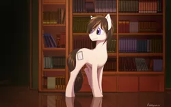 Size: 2560x1600 | Tagged: safe, artist:rublegun, derpibooru import, oc, unofficial characters only, earth pony, pony, book, bookshelf, commission, male, smiling, solo, stallion