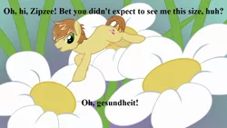 Size: 1280x720 | Tagged: battle for sugar belle, derpibooru import, edit, edited screencap, feather bangs, flower, g3, g3 to g4, generation leap, hard to say anything, implied breezie, implied shrinking, implied zipzee, safe, screencap, text