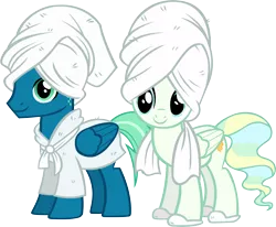 Size: 5506x4528 | Tagged: safe, artist:ironm17, derpibooru import, sky stinger, vapor trail, pony, absurd resolution, bathrobe, clothes, duo, simple background, slippers, smiling, towel, transparent background, vector