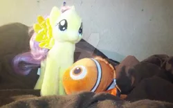 Size: 1024x638 | Tagged: safe, artist:user15432, derpibooru import, fluttershy, fish, pegasus, pony, crossover, disney, disney pixar, finding dory, finding nemo, irl, nemo, photo, plushie, real world, toy, toyshy, watermark