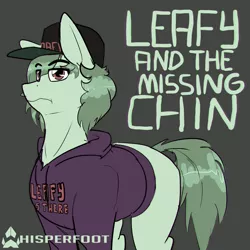 Size: 1280x1280 | Tagged: safe, artist:whisperfoot, derpibooru import, oc, ponified, unofficial characters only, pony, clothes, hat, hoodie, leafyishere, simple background, solo, weak chin