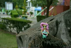 Size: 6000x4000 | Tagged: safe, artist:hero1290, derpibooru import, fluttershy, equestria girls, absurd resolution, doll, equestria girls minis, eqventures of the minis, irl, park, photo, toy, tree, wood