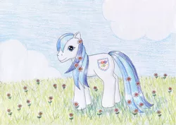 Size: 1024x723 | Tagged: safe, artist:normaleeinsane, derpibooru import, denim blue, pony, flower, g3, solo, traditional art