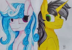 Size: 3357x2339 | Tagged: safe, artist:ilynalta, derpibooru import, oc, oc:melodia, oc:novaintellus, unofficial characters only, pony, unicorn, bust, female, high res, mare, portrait, traditional art