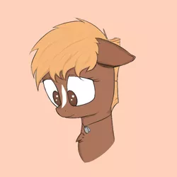 Size: 1000x1000 | Tagged: safe, artist:otherdrawfag, derpibooru import, ponified, ponified:sgt. reckless, earth pony, pony, 4chan, dog tags, drawthread, solo, warpone