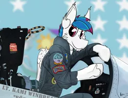 Size: 3001x2309 | Tagged: safe, artist:kamithepony, derpibooru import, oc, oc:kami, unofficial characters only, pegasus, pony, f-14 tomcat, patches, theartistwastoostupidtouploadthecorrectfile, top gun