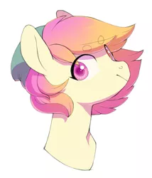 Size: 819x955 | Tagged: safe, artist:amphoera, derpibooru import, oc, oc:taco horse, unofficial characters only, pony, beanbrows, beanie, bust, colored pupils, eyebrows, hat, heterochromia, simple background, solo, white background