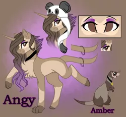 Size: 1088x1009 | Tagged: safe, artist:xxmissteaxx, derpibooru import, oc, oc:angy, unofficial characters only, ferret, hybrid, pony, unicorn, female, mare, panda hat, reference sheet, solo