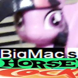 Size: 400x400 | Tagged: suggestive, derpibooru import, twilight sparkle, twilight sparkle (alicorn), alicorn, pony, caption, expand dong, exploitable meme, eyes on the prize, faic, figure, image macro, implied big macintosh, irl, meme, photo, rapeface, solo, vulgar