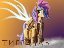 Size: 2000x1500 | Tagged: safe, artist:minosart, derpibooru import, oc, oc:spirit light, unofficial characters only, pegasus, pony, angel, archangel, cloud, crossover, diablo, diablo 3, female, mare, russian, solo, sunset, the archangel of justice, two colour hair, tyrael, wings