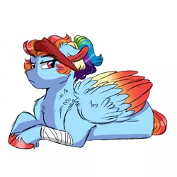 Size: 3000x3000 | Tagged: safe, artist:scarletskitty12, derpibooru import, rainbow dash, pegasus, pony, alternate design, alternate hairstyle, bandage, colored hooves, colored wings, colored wingtips, female, frown, mare, simple background, solo, unshorn fetlocks, white background