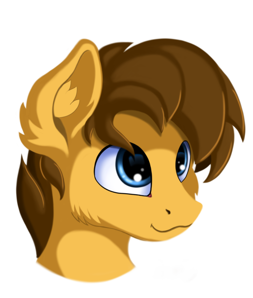 Size: 1700x2000 | Tagged: safe, artist:qbellas, derpibooru import, oc, unofficial characters only, pony, bust, cute, portrait, simple background, smiling, style emulation, transparent background