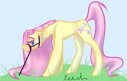 Size: 4728x3032 | Tagged: suggestive, artist:leech, derpibooru import, fluttershy, earth pony, pony, absurd resolution, bedroom eyes, blushing, bridle, floppy ears, grass, race swap, raised tail, reins, solo, tack, tail, wingless