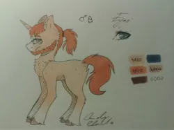 Size: 2560x1920 | Tagged: safe, artist:pinkcloudhugger, derpibooru import, oc, oc:mckeypl, unofficial characters only, pony, unicorn, beard, facial hair, reference sheet, solo, traditional art, unshorn fetlocks