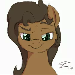 Size: 3000x3000 | Tagged: safe, artist:zombietator, derpibooru import, oc, oc:duck badge, ponified, unofficial characters only, pony, derpibooru, bust, derpibooru ponified, female, heart eyes, looking at you, mare, meta, portrait, simple background, smiling, smirk, smug, solo, white background, wingding eyes