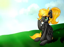 Size: 1714x1252 | Tagged: safe, artist:sketchyhowl, derpibooru import, oc, oc:veen sundown, unofficial characters only, pegasus, pony, adorable face, blonde, chocolate, cute, donut, eating, female, field, food, grass, mare, ponytail, sitting, so cute it kills you, solo, sun, sundown clan, sunshine