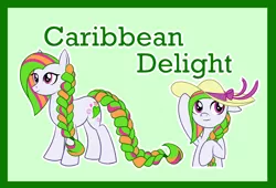 Size: 1954x1332 | Tagged: safe, artist:bakufoon, derpibooru import, caribbean delight, pony, braid, g3, g3 to g4, g3betes, generation leap, hat, solo