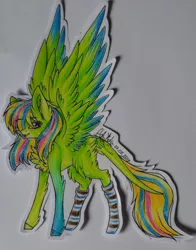 Size: 1024x1303 | Tagged: safe, artist:adakola, deleted from derpibooru, derpibooru import, oc, oc:midori, unofficial characters only, pegasus, pony, clothes, colored wings, colored wingtips, female, mare, socks, solo, striped socks, tongue out, traditional art