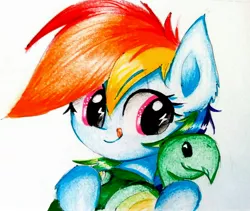 Size: 2506x2113 | Tagged: safe, artist:liaaqila, derpibooru import, rainbow dash, tank, pony, cute, dashabetes, hnnng, looking at you, simple background, traditional art, weapons-grade cute, white background