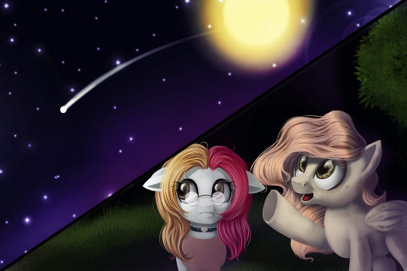 Size: 900x600 | Tagged: safe, artist:ailatf, derpibooru import, oc, unofficial characters only, earth pony, pegasus, pony, duo, female, floppy ears, full moon, looking up, mare, moon, night, shooting star, smiling, starry night, stars