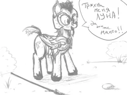 Size: 1111x833 | Tagged: safe, artist:plotcore, derpibooru import, oc, unofficial characters only, bat pony, pony, armor, cyrillic, dialogue, food, guard, mango, monochrome, russian, sketch, solo, tongue out