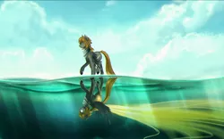 Size: 2660x1658 | Tagged: source needed, useless source url, safe, artist:rublegun, derpibooru import, oc, oc:kaajuss, unofficial characters only, pegasus, pony, image, jpeg, reflection, sky, underwater, walking on water