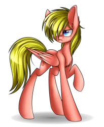 Size: 1600x1955 | Tagged: safe, artist:snowbunny0820, derpibooru import, oc, oc:finn, unofficial characters only, pegasus, pony, male, raised hoof, simple background, solo, stallion, transparent background