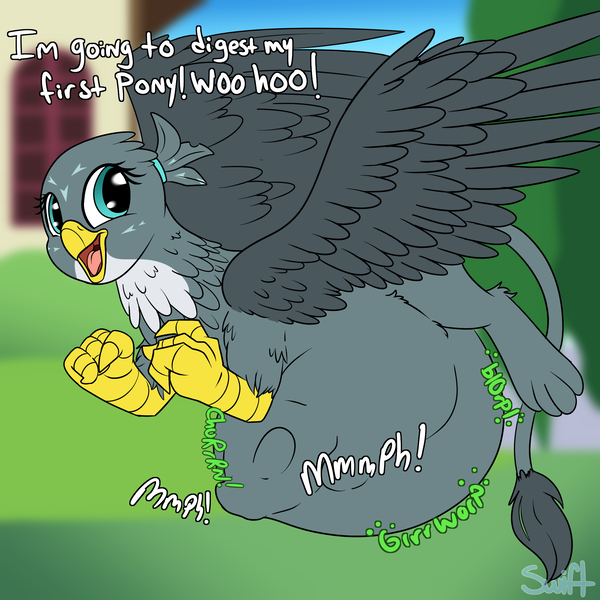 Size: 2000x2000 | Tagged: questionable, semi-grimdark, artist:swiftsketchpone, derpibooru import, gabby, goldengrape, sir colton vines iii, gryphon, belly, cute, digestion, female, fetish, flying, gabbybetes, gabbypred, griffons doing griffon things, imminent death, implied goldengrape, solo, solo female, vore