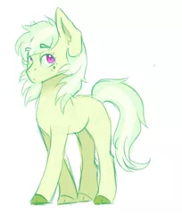 Size: 677x828 | Tagged: safe, artist:kittii-kat, derpibooru import, oc, oc:green tea, unofficial characters only, earth pony, pony, female, mare, offspring, parent:big macintosh, parent:fleetfoot, parents:fleetmac, simple background, solo, white background