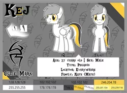 Size: 1280x938 | Tagged: safe, artist:justisanimation, derpibooru import, oc, oc:kej, unofficial characters only, pegasus, pony, male, reference sheet, solo, stallion, vector