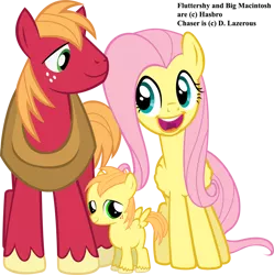 Size: 1005x1008 | Tagged: safe, artist:blackm3sh, artist:dlazerous, artist:moongazeponies, artist:ryplinn, artist:waranto, derpibooru import, edit, vector edit, big macintosh, fluttershy, oc, oc:little chaser, pony, faic, female, fluttermac, male, offspring, parent:big macintosh, parent:fluttershy, parents:fluttermac, shipping, simple background, straight, transparent background, vector