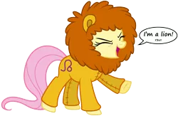 Size: 6041x3935 | Tagged: safe, artist:lahirien, artist:zutheskunk edits, derpibooru import, edit, vector edit, fluttershy, big cat, lion, pony, .ai available, absurd resolution, animal costume, clothes, costume, cute, leo, shyabetes, simple background, transparent background, vector, zodiac