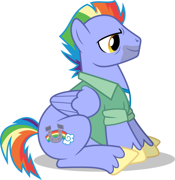 Size: 4877x5000 | Tagged: safe, artist:dashiesparkle, derpibooru import, bow hothoof, pegasus, pony, parental glideance, .svg available, absurd resolution, clothes, male, simple background, sitting, solo, stallion, transparent background, vector