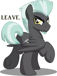 Size: 6900x9198 | Tagged: safe, artist:drawponies, artist:gray-gold, derpibooru import, thunderlane, pegasus, pony, .svg available, absurd resolution, annoyed, male, plot, simple background, solo, stallion, thunderbutt, transparent background, unamused, underhoof, vector, vector trace