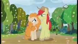 Size: 960x542 | Tagged: safe, derpibooru import, screencap, bright mac, pear butter, pony, the perfect pear, apple tree, blushing, brightbutter, hat, looking at each other, pear tree, rain, spring, tree