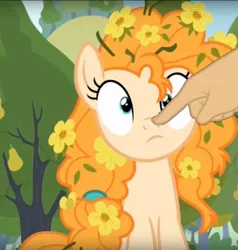 Size: 894x938 | Tagged: safe, derpibooru import, edit, edited screencap, screencap, pear butter, pony, the perfect pear, boop, boop edit, cropped, cute, finger, flower, flower in hair, hand, pearabetes