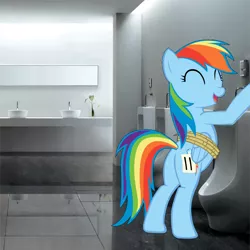 Size: 1010x1008 | Tagged: safe, artist:alexpony, artist:therockinstallion, derpibooru import, rainbow dash, pony, fall weather friends, bathroom, but why, female, irl, photo, ponies in real life, promingent female, solo, toilet, urinal