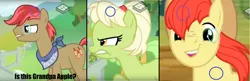 Size: 2376x772 | Tagged: safe, artist:epiccrasher, derpibooru import, edit, edited screencap, screencap, bright mac, goldie delicious, granny smith, pony, the perfect pear, family, grandpa apple, headcanon, lazy, ms paint, theory, young granny smith