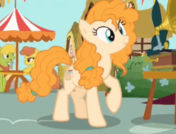Size: 634x484 | Tagged: safe, derpibooru import, screencap, cinnamon pear, cornice pear, pear butter, pony, the perfect pear, animated, bowing, cropped, curtsey, cute, gif, gramophone, pear family member, pearabetes, pose, shiny concorde
