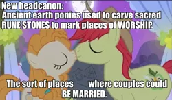 Size: 685x401 | Tagged: safe, derpibooru import, edit, edited screencap, screencap, bright mac, pear butter, pony, the perfect pear, brightbutter, deepest lore, female, headcanon, male, marriage, pagan, paganism, religion, shipping, straight, tradition