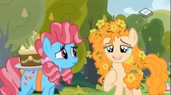 Size: 829x462 | Tagged: safe, derpibooru import, screencap, cup cake, pear butter, earth pony, pony, the perfect pear, cake, chiffon swirl, duo, female, flower, flower in hair, food, mare, pear cake, pear tree, swoon