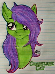 Size: 843x1135 | Tagged: safe, artist:zipperdrawz, derpibooru import, oc, oc:camoflage cat, unofficial characters only, pony, lined paper, request, solo, traditional art