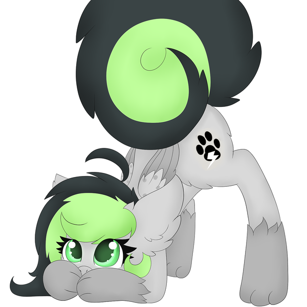 Size: 1280x1280 | Tagged: safe, artist:pegamutt, derpibooru import, oc, oc:bree jetpaw, unofficial characters only, dog pony, pony, bending, covering mouth, cute, face down ass up, fluffy, paws, simple background, white background