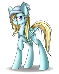 Size: 1600x2010 | Tagged: safe, artist:snowbunny0820, derpibooru import, oc, oc:charles, unofficial characters only, pegasus, pony, hat, male, raised hoof, simple background, solo, stallion, transparent background